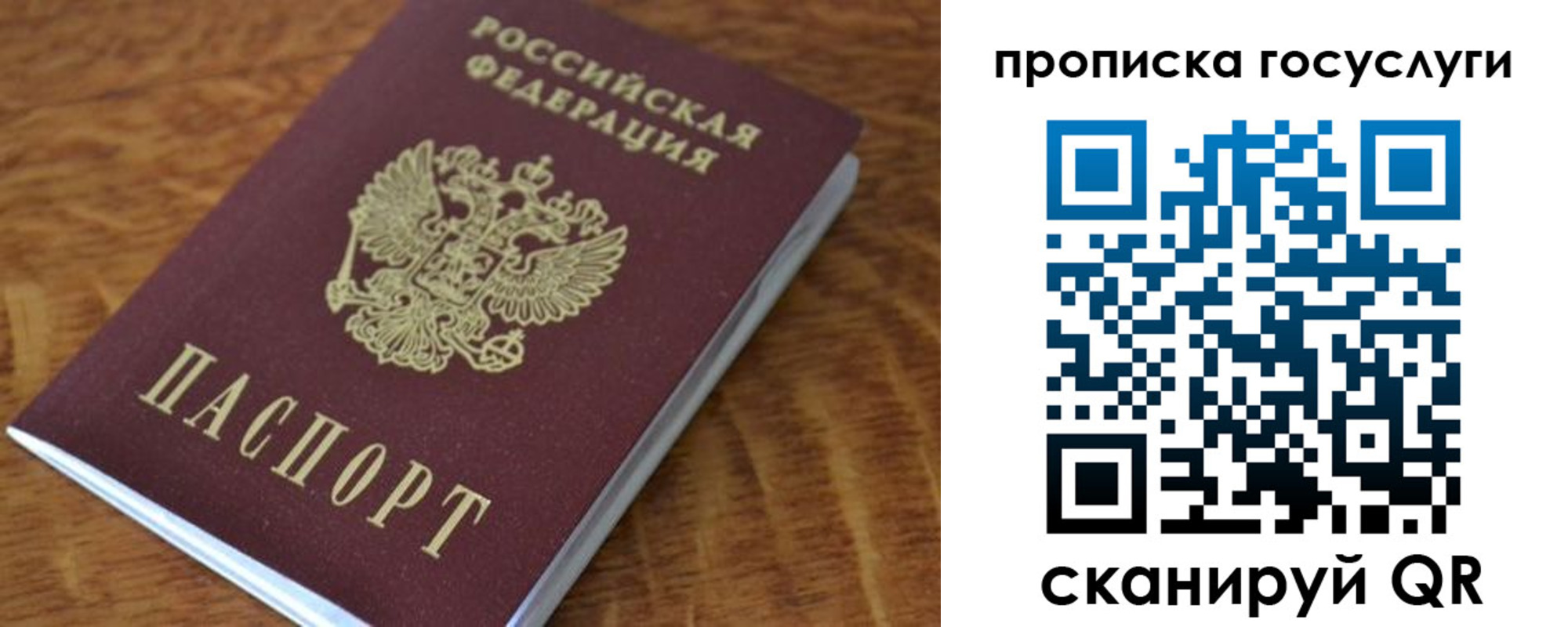 временная регистрация гарантия в Североморске